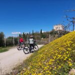 Soave: E-Bike Tour with Wine Tasting in a Local Winery - Effortless Pedaling Along Rural Paths and Ancient Mule Tracks
