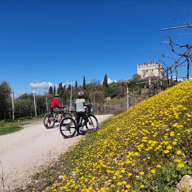 Soave: E-Bike Tour with Wine Tasting in a Local Winery - Effortless Pedaling Along Rural Paths and Ancient Mule Tracks