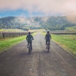 Sonoma Valley Pedal Assist Bike Tour with Lunch - The Tour Starts at Sonoma’s Historic Downtown