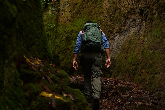 Sorano and its wonders, The Vie Cave and wine cellars - Exploring the Ancient Streets Dug into the Tufa Rock