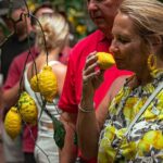 Sorrento Ape Tour, Lemon Garden, Mozzarella Show & Pizza Class - The Traditional Ape Calessino Ride to Mozzarella Making