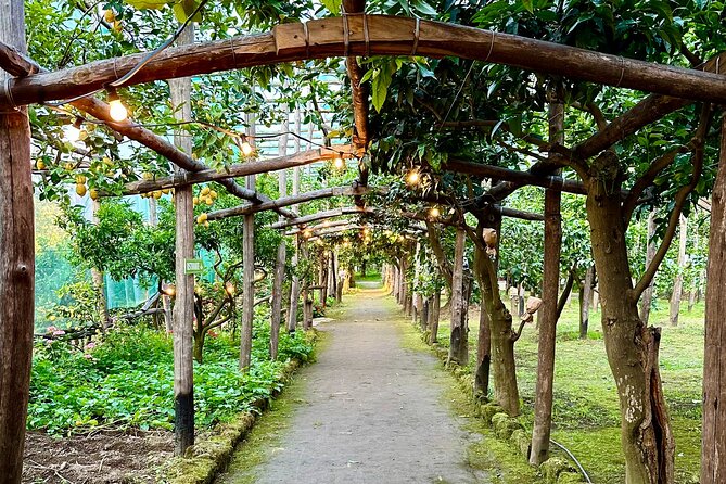 Sorrento Lemon Grove Experience with Local Product Tasting - Starting Point at La Limonaia in Sorrento