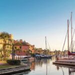 Sotogrande: Dolphin Watching Boat Trip with Drink - Starting Point at Berth 78 Next to the Real Club Marítimo Sotogrande