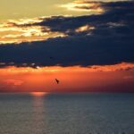 Sounio Sunset Tour - Private Transportation in Comfort and Style