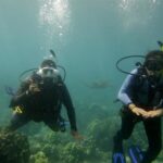 South Maui Discover Scuba Dive - The Instruction and Practice Sessions in Shallow Water