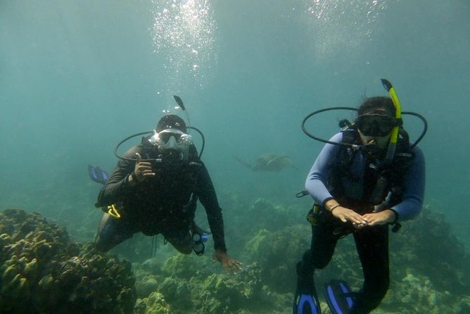 South Maui Discover Scuba Dive - The Instruction and Practice Sessions in Shallow Water