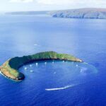 South Maui: Molokini & Turtle Town Snorkeling Tour with Meal - Exploring Molokini Crater: A Volcanic Wonder