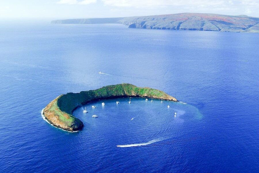 South Maui: Molokini & Turtle Town Snorkeling Tour with Meal - Exploring Molokini Crater: A Volcanic Wonder