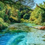 South of Albania A 3 Day Tour Through Albania's Riviera Gems - Lunch with Views at Llogara National Park