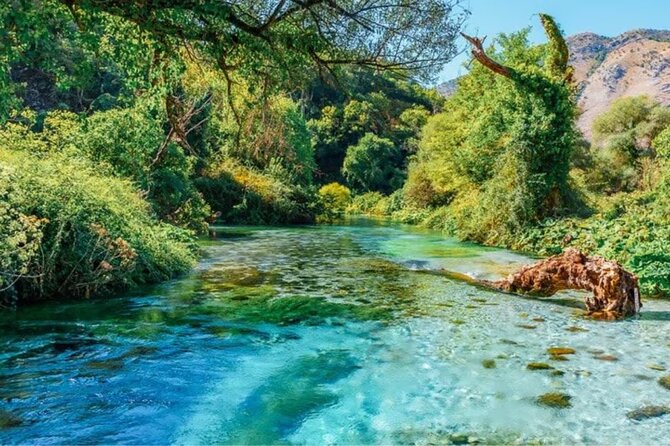 South of Albania A 3 Day Tour Through Albania's Riviera Gems - Lunch with Views at Llogara National Park