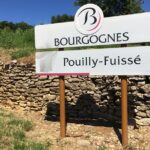 Southern Burgundy Wine Tour - Full Day Shared tour from Lyon - Meeting Point and Journey to the Vineyards
