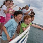 Southern Star Dolphin Cruise in Destin - Scenic Destin Harbor, East Pass, and Crab Island