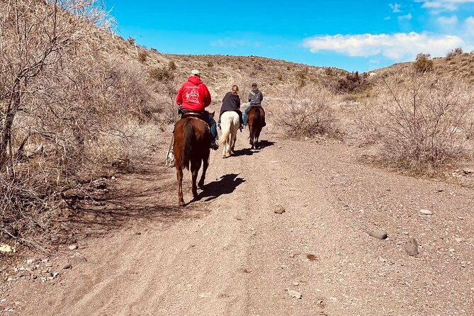 Southwest Horseback Riding with Spectacular Views - Pickup from Laughlin and Journey to the Grand Canyon Western Ranch