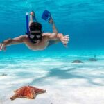 Speed Boat with Snorkeling Adventure of Cancun - Snorkeling in Cancun’s Vibrant Coral Reefs