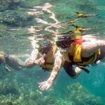 Speedboat and Snorkel Tour from Cancun with Transportation - Pickup and Transportation in Cancun’s Hotel Zone