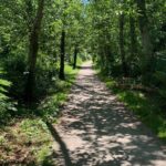 Spirit Of Vancouver Bike or Ebike Tour - Cycling Through Vancouver’s Pacific Spirit Regional Park