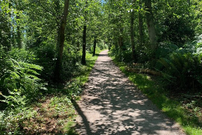 Spirit Of Vancouver Bike or Ebike Tour - Cycling Through Vancouver’s Pacific Spirit Regional Park