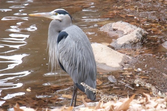 Spiritual Tours Vortex Tours - The Logistics: Pickup, Transport, and Privacy