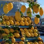 Splendid Hotel la Torre to Palermo airport or vice versa, Private Transfer - Pricing, Duration, and Flexibility