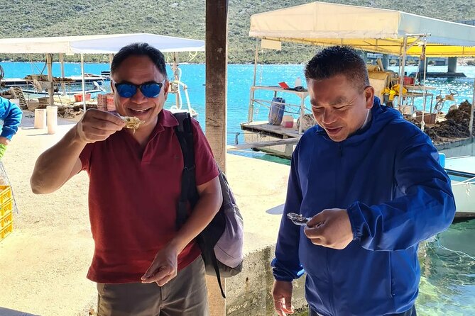 Split to Dubrovnik Private transfer 1-8 pax (Door to Door any location) - How the Service Facilitates Travel in Dalmatia