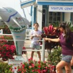 Sponge Dock Stroll - Exploring the Tarpon Springs Sponge Docks