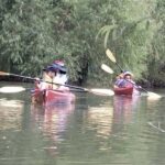 Spooky Swamp | Evening Paddle on Lake Charlotte(Sunset Tour) - Exploring Lake Charlotte’s Flooded Cypress Forest by Kayak