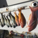 sport fishing - Meeting Point and Schedule for a Seamless Experience