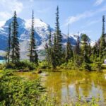 Squamish-Lillooet: Joffre Lakes Guided Hike - Starting at the Joffre Lakes Trailhead with an Expert Guide