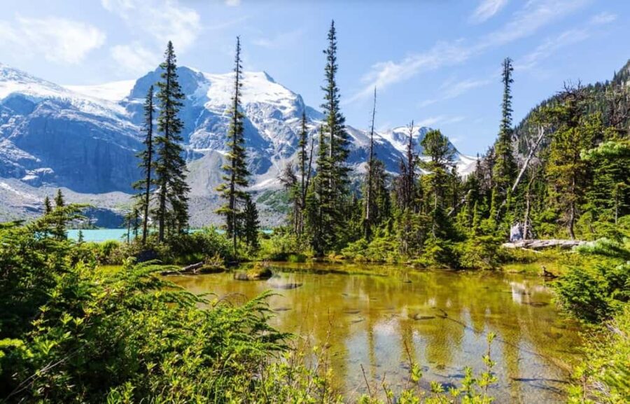 Squamish-Lillooet: Joffre Lakes Guided Hike - Starting at the Joffre Lakes Trailhead with an Expert Guide