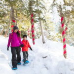 Squamish: Sea to Sky Gondola Admission Ticket - Experience the Ride with Stunning Mountain and Water Views