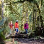 Squamish: Stawamus Chief Guided Hike - The Lush Forests and Waterfall Along the Trail