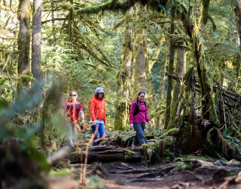 Squamish: Stawamus Chief Guided Hike - The Lush Forests and Waterfall Along the Trail
