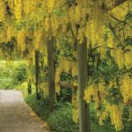 St. Andrews New Brunswick: Kingsbrae Garden Admission Ticket - Ideal for Families and Art Lovers
