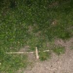 St. Augustine: Devil's Hour Paranormal Investigation Tour - Using Paranormal Equipment: Ghost-Hunting Tools Explained