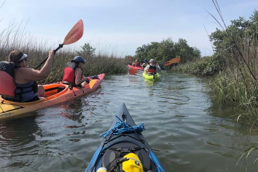 St. Augustine: Salt Marsh Kayak Tour - Meeting at the City Marina and Kayaking Equipment
