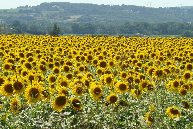 St Cirq LaPopie and Pech Merle Cavern Tour from Toulouse - Exploring the Medieval Village of Saint-Cirq Lapopie