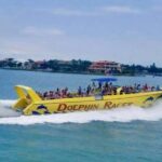 St. Pete Beach: Dolphin Racer Cruise by Speedboat - Spotting Wild Dolphins Jumping in the Wake