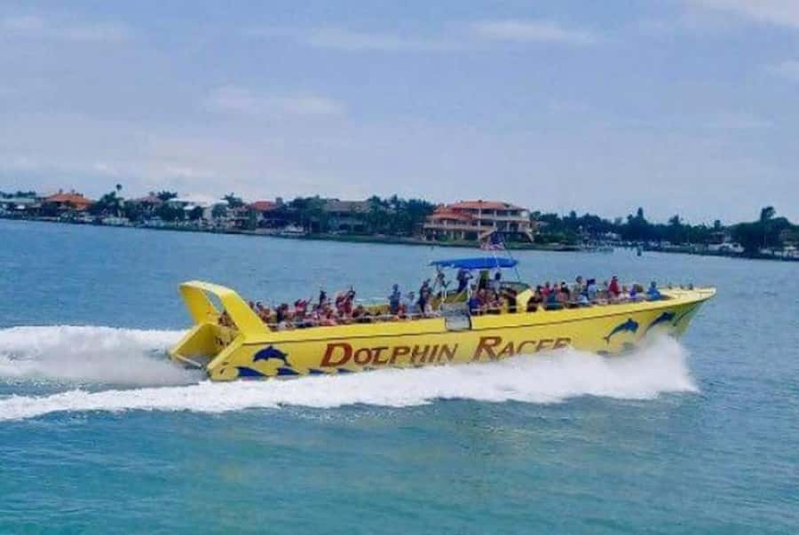 St. Pete Beach: Dolphin Racer Cruise by Speedboat - Spotting Wild Dolphins Jumping in the Wake