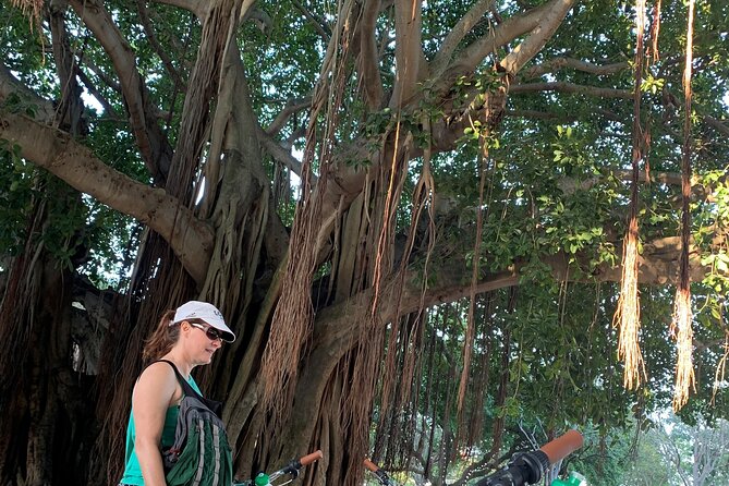 St Pete Ebike Tour with Lunch - Visiting the Iconic St. Pete Pier