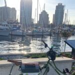 St Pete History and Heritage Biking Tour - Exploring Downtown St. Petersburg on a Bike