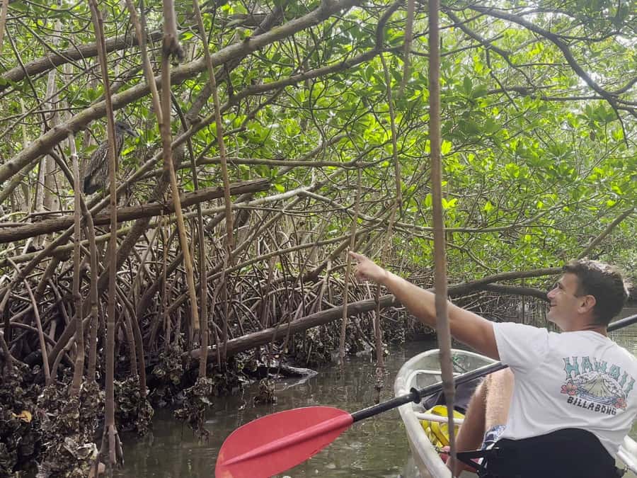 St. Petersburg: Clear Kayak Rental at Clam Bayou Nature Park - How the Self-Guided Adventure Begins at Clam Bayou