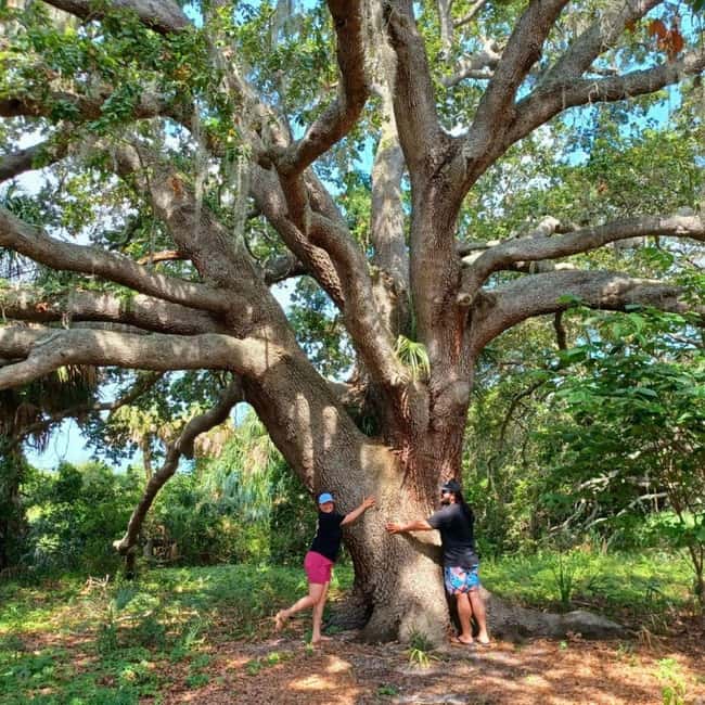 St. Petersburg: Lake Maggiore Bike Tour with Guide - Starting Point and Tour Logistics in Lake Maggiore