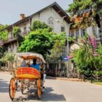 stanbul: Prince Island Full Day Tour - Starting the Day with Istanbul Hotel Pickup