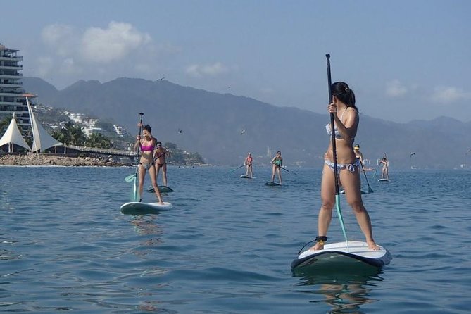 Stand-Up Paddle Board Lesson in Puerto Vallarta - Starting at Xiutla Riders PV: Easy Access Near the Beach