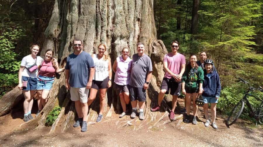 Stanley Park Highlights 2.5 Hour Walking Tour - Starting Point at Stanley Park Bus Loop