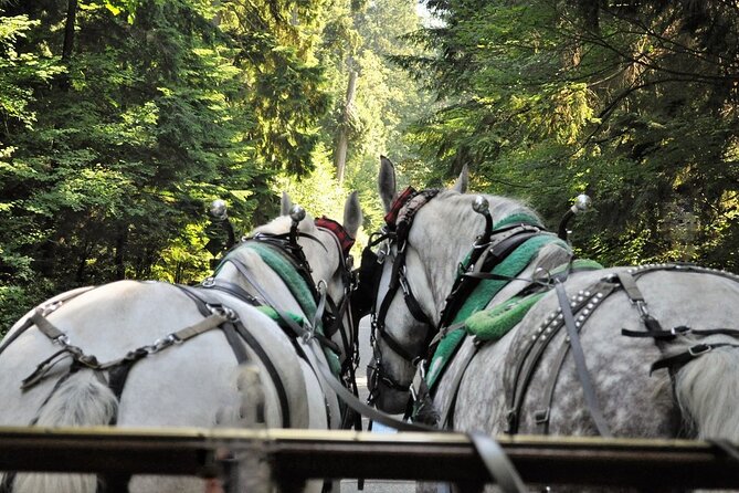 Stanley Park Horse-Drawn Tour - Riding in a Horse-Drawn Carriage: What’s Included