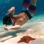 Starfish, Stingrays and the Turtle Sanctuary Snorkeling Tour - Turtle Bay: The Marine Sanctuary for Friendly Turtles