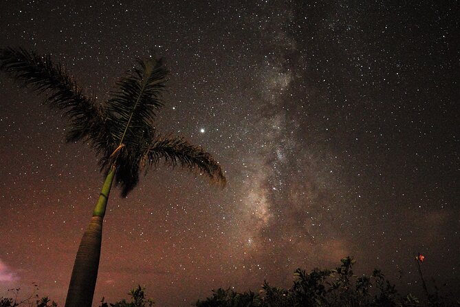 Stargazing on La Palma - Use of Professional Telescopes for Close-up Celestial Viewing