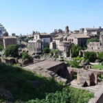 Step Into History: VIP Colosseum Tour with Local Guide - Exploring the Colosseum with a Licensed Guide