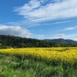 Stirling Run Tour - Visiting Cambuskenneth Abbey: A 12th-Century Priory